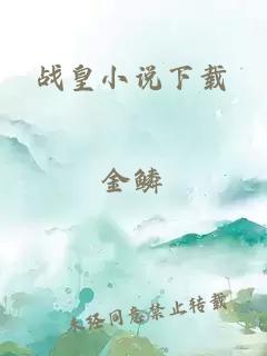 戰(zhàn)皇小說下載