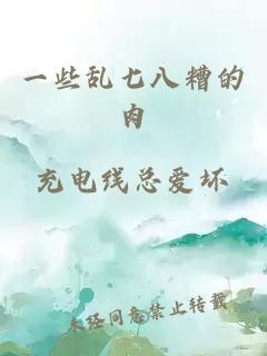 一些亂七八糟的肉