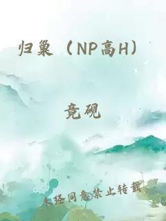 歸巢（NP高H）
