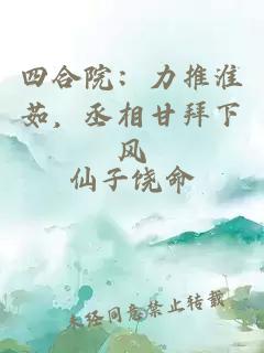 四合院：力推淮茹，丞相甘拜下風(fēng)