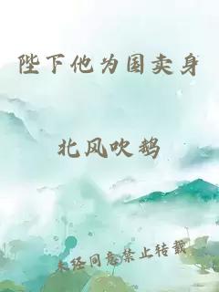 陛下他為國賣身