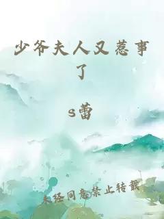 少爺夫人又惹事了