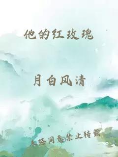 他的紅玫瑰