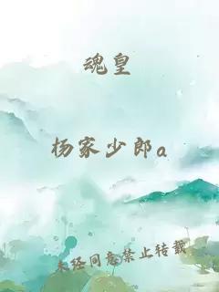 魂皇
