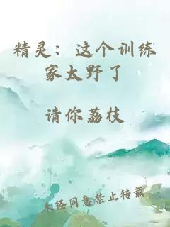 精靈：這個訓練家太野了
