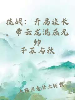 抗戰：開局旅長，帶云龍混成元帥