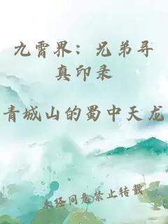 九霄界：兄弟尋真印錄